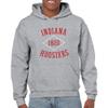 AH1107 - Indiana Hoosiers Stitch Arch Hoodie - Large - Sport Grey view 4