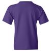 YS04 - Western Illinois Leathernecks Distressed Circle Logo Youth T-Shirt - X-Large - Purple view 3
