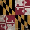 EDOG Maryland State Flag 5 PC Cerus Gear Heavy Duty Pistol Cleaning 12x17 Padded Gun-Work Surface Protector Mat Solvent & Oil Resistant & 3 PC Cleaning Essentials & Clenzoil, Made in the USA view 2