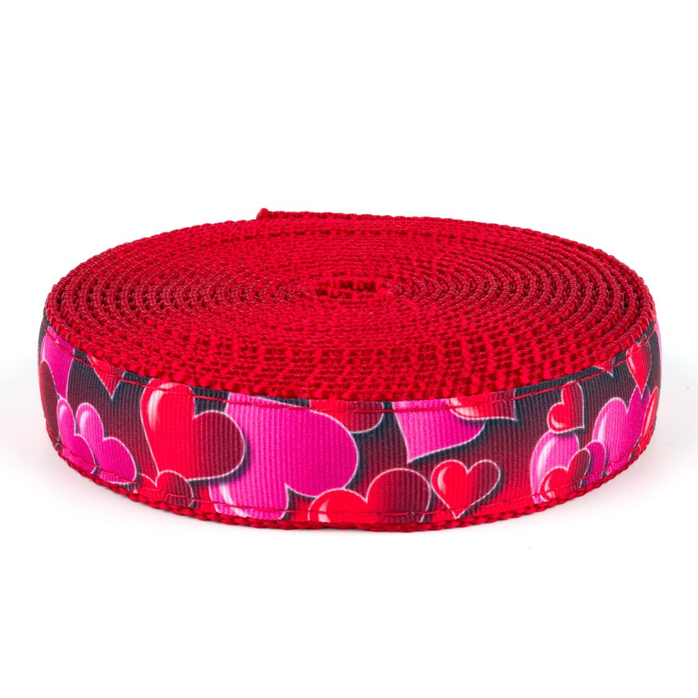 Country Brook Design - Romantic Hearts Ribbon on Red Nylon Webbing (1 Inch, 10 Yards)
