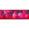 Country Brook Design - Romantic Hearts Ribbon on Red Nylon Webbing (1 Inch, 10 Yards) view 3