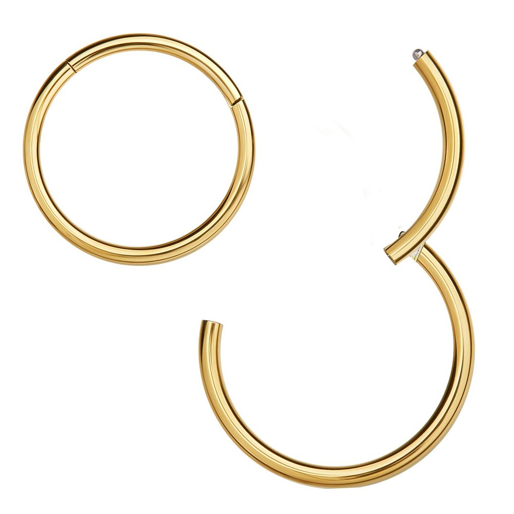 MissNity 316L Surgical Steel Hinged Nose Rings Hoop 18G 18 Guage Clicker Segment Nose Hoop, 14K Gold, 8mm