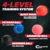 Champs MMA Boxing Reflex Ball Set with Punch Counter App | 4 Balls with Varying Weights, Headband & 4 Spare Strings to Improve Speed, Hand Eye Coordination Training | Boxing Equipment, MMA Gear Gift view 3