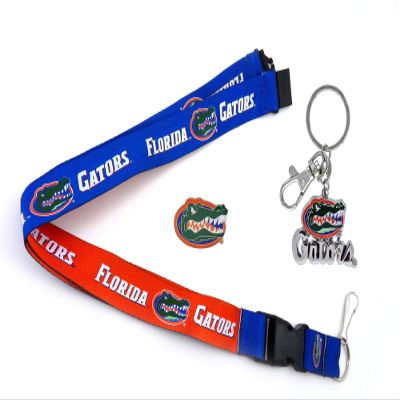 Aminco NCAA Florida Gators Team Reversable Lanyard, Logo Lapel Pin, and Metal Keychain Gift Bundle
