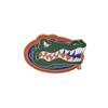 Aminco NCAA Florida Gators Team Reversable Lanyard, Logo Lapel Pin, and Metal Keychain Gift Bundle view 3