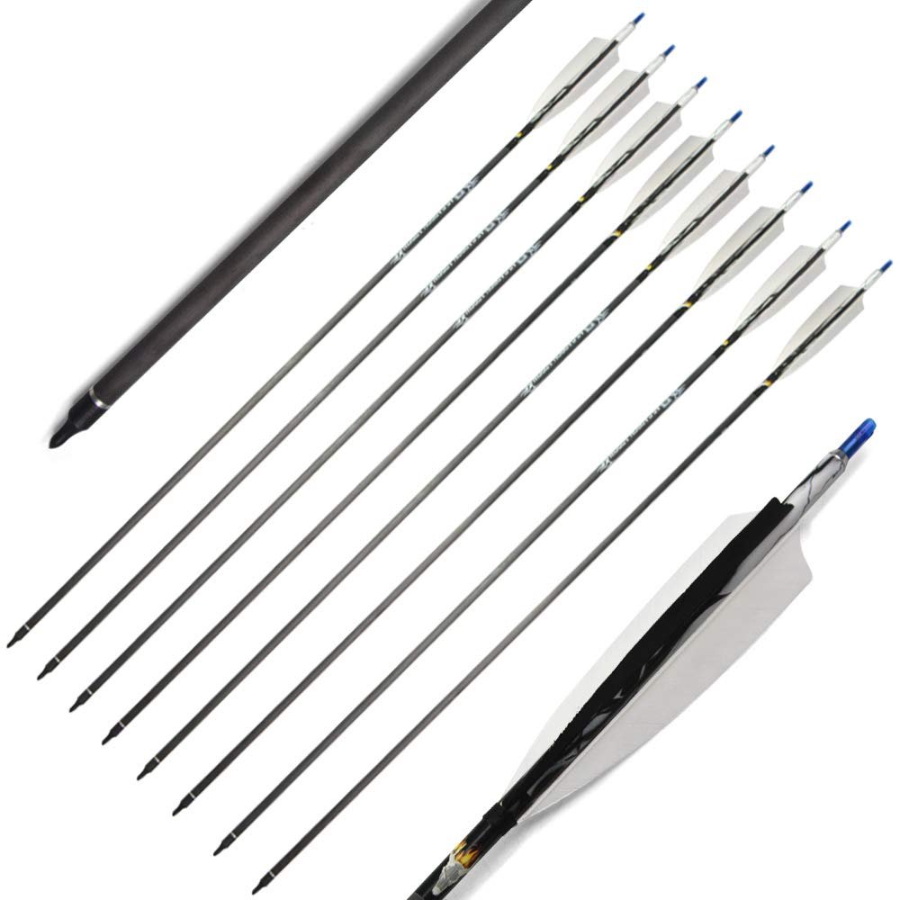 30 Inch Archery Pure Carbon Arrow Spine 500 Hunting Shooting Arrow Target Practice Arrow with 5 Inch Arrow Turkey Feather for Archery Competition Practice (10pcs Arrows)