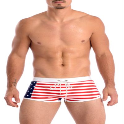 Gary Majdell Sport Men's Contrast Boxer Brief Swimsuit Side Stars Medium