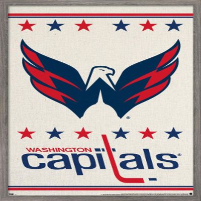 Trends International NHL Washington Capitals - Logo 14 Wall Poster, 22.375" x 34", Barnwood Framed Version