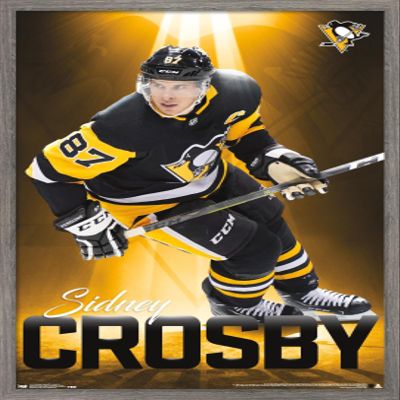 Trends International NHL Pittsburgh Penguins - Sidney Crosby 18 Wall Poster, 22.375" x 34", Barnwood Framed Version