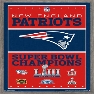 Trends International NFL New England Patriots - Champions 19 Wall Poster, 22.375" x 34", Barnwood Framed Version