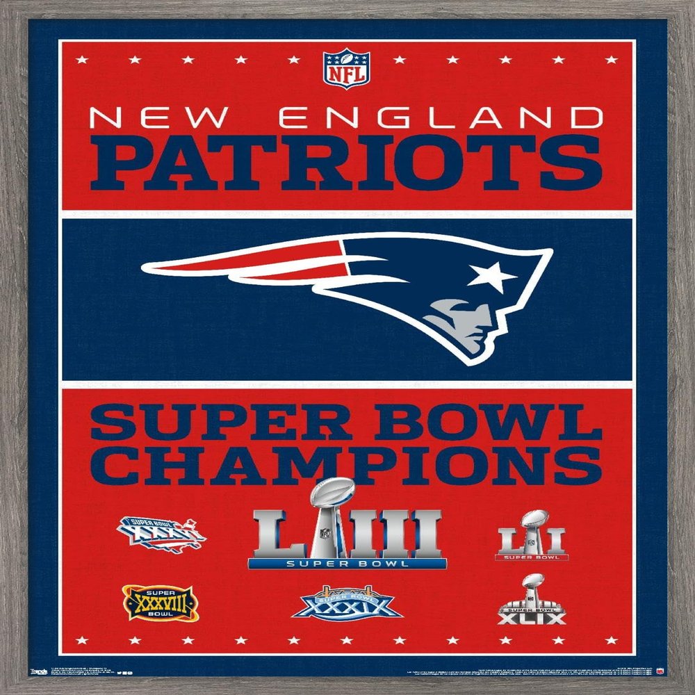 Trends International NFL New England Patriots - Champions 19 Wall Poster, 22.375" x 34", Barnwood Framed Version