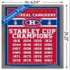Trends International NHL Montreal Canadiens Champions 13 Wall Poster, 14.725" x 22.375", Barnwood Framed Version view 3