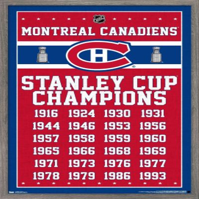 Trends International NHL Montreal Canadiens Champions 13 Wall Poster, 22.375" x 34", Barnwood Framed Version