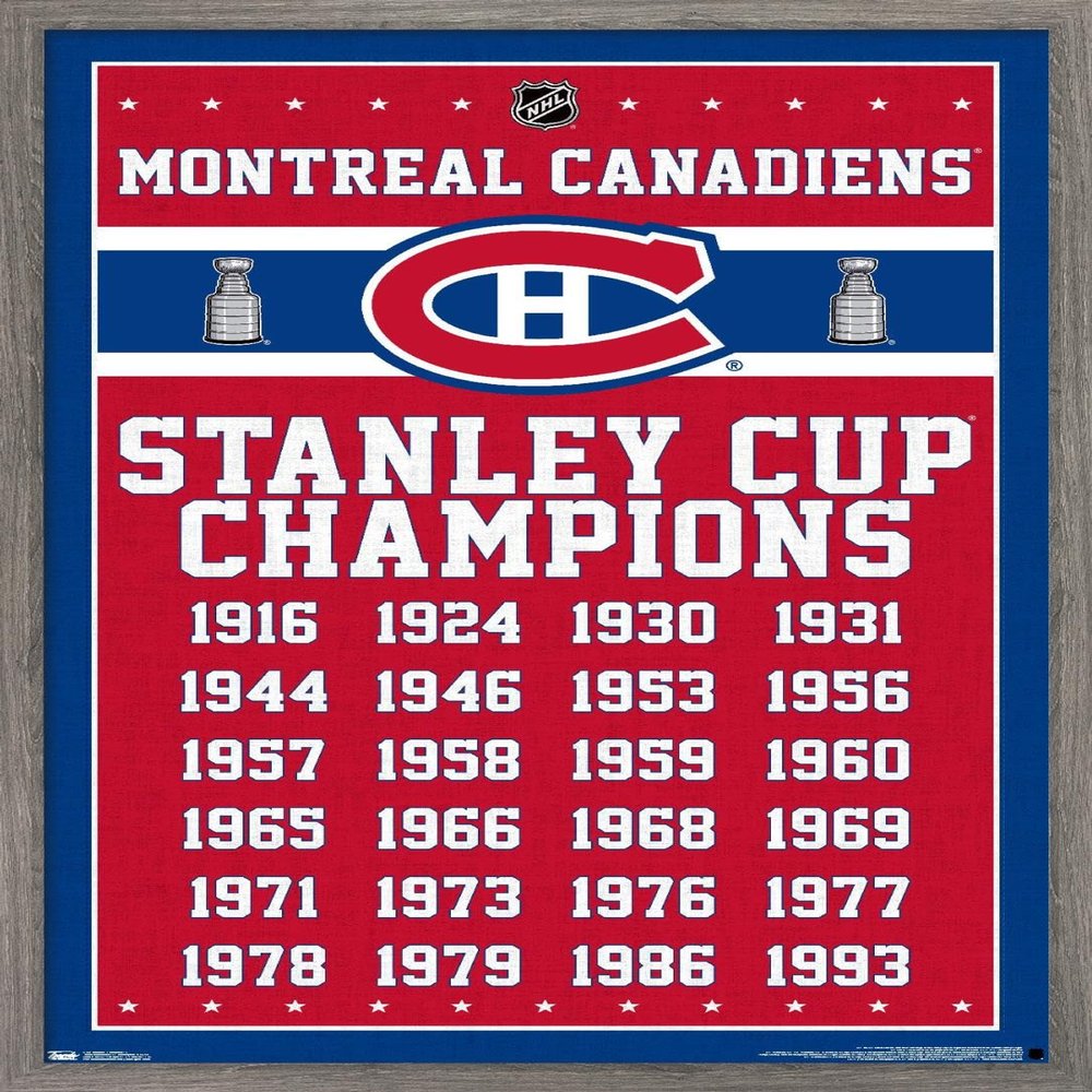 Trends International NHL Montreal Canadiens Champions 13 Wall Poster, 22.375" x 34", Barnwood Framed Version
