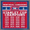 Trends International NHL Montreal Canadiens Champions 13 Wall Poster, 22.375" x 34", Barnwood Framed Version view 1