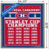 Trends International NHL Montreal Canadiens Champions 13 Wall Poster, 22.375" x 34", Barnwood Framed Version view 3