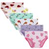 Cadidi Dinos 100% Cotton Soft Cotton Panties Big Girls' Undies Assorted Underwear (Pack of 6) Size 12