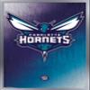 Trends International NBA Charlotte Hornets - Logo 14 Wall Poster, 14.725" x 22.375", Silver Framed Version view 1