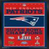 Trends International NFL New England Patriots - Champions 19 Wall Poster, 14.725" x 22.375", Black Framed Version view 1