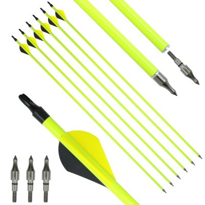 Obert 12pcs Archery Carbon Arrows 30 inch Spine 500 for Recurve Bow Compound Bow Target Practice