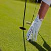 Nice Shot The Bird Golf Glove in White Cabretta Leather Men's Right Hand - XXLarge view 4