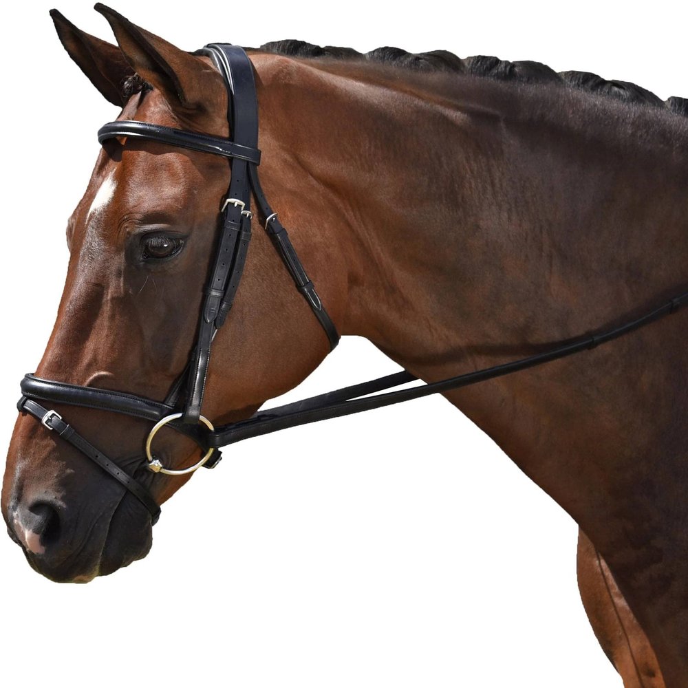M. Toulouse Classic Black Dressage Bridle X-Full