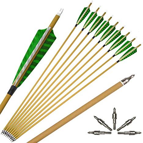 ZSHJGJR Archery Carbon Arrows 30 Inch Hunting Arrow Spine 500 Targeting Arrow Spine 450 Practice with Removable Field Point for Recurve & Compound Bow 12 Pieces (Green)
