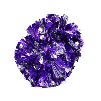 Pom Poms, Cheerleader Aerobics Pom Poms Pompoms for Dance Party School Sports Competition(&Silver)