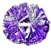 Pom Poms, Cheerleader Aerobics Pom Poms Pompoms for Dance Party School Sports Competition(&Silver) view 2