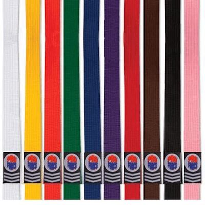 PROFORCE Extra Long Karate/Martial Arts Rank Belts (Yellow, 1-83")