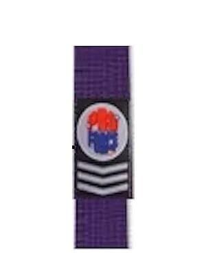 PROFORCE Extra Long Karate/Martial Arts Rank Belts (Purple, 9-160")