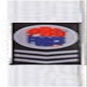 PROFORCE Extra Long Karate/Martial Arts Rank Belts (White, 1-83")