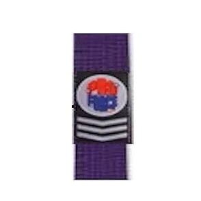 PROFORCE Extra Long Karate/Martial Arts Rank Belts (Purple, 8-145")