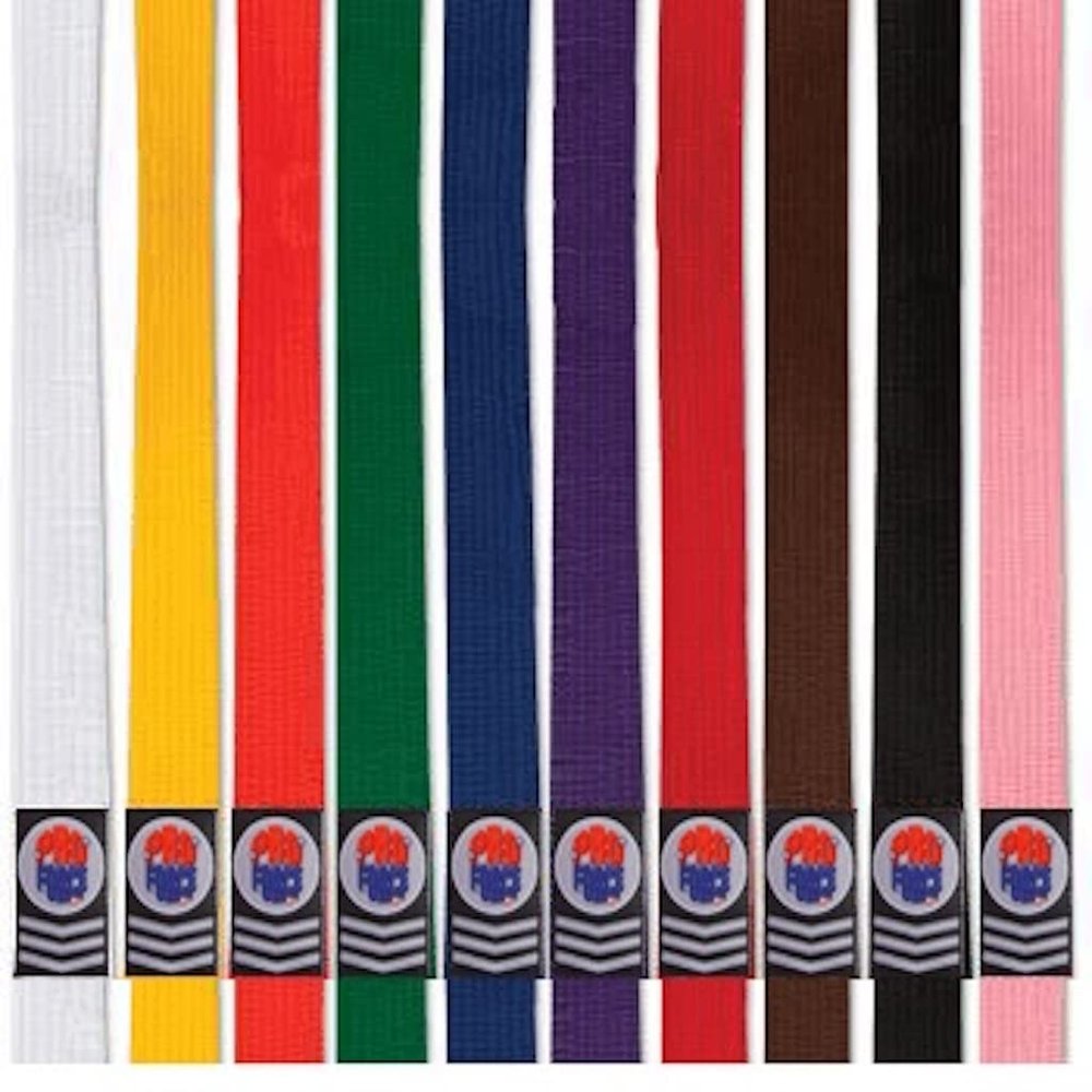 PROFORCE Extra Long Karate/Martial Arts Rank Belts (Orange, 7-128")