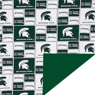 Future Tailgater Michigan State Spartans Licensed Minky Blanket Throw 60"" L x 42"" W