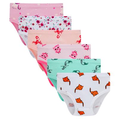 Winging Day Packs of 6 Big Girls Panties Underwear Assorted Styles Size 10