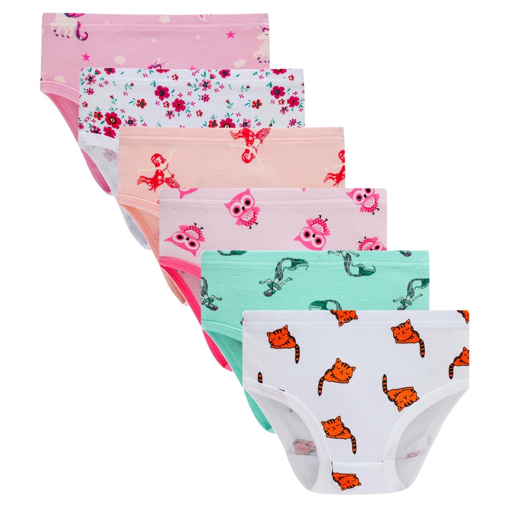 Winging Day Packs of 6 Big Girls Panties Underwear Assorted Styles Size 10