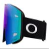 Oakley Fall Line Large Goggle view 2