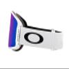 Oakley Line Miner M Snow Goggle view 2