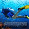 Seaskin Mens 3mm Shorty Wetsuit Womens, Full Body Diving Suit Front Zip Wetsuit for Diving Snorkeling Surfing Swimming 3X-Large view 2
