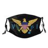 LALLRI Virgin Islands USA American Flag Graphic Face Masks, Unisex Breathable Reusable Anti-Dust Wind Sun-Proof Fashion Mouth Cover view 1