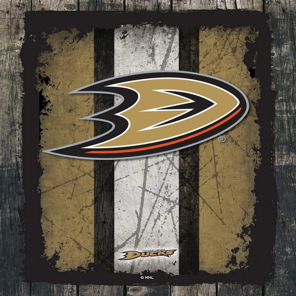Anaheim Ducks 15" x 20" Officially Licensed Logo Canvas by the Holland Bar Stool Co.