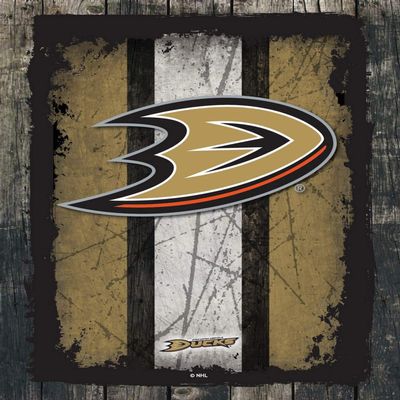 Anaheim Ducks 24" x 32" Officially Licensed Logo Canvas by the Holland Bar Stool Co.