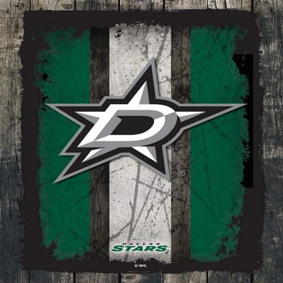 Dallas Stars 24" x 32" Officially Licensed Logo Canvas by the Holland Bar Stool Co.