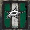 Dallas Stars 24" x 32" Officially Licensed Logo Canvas by the Holland Bar Stool Co. view 1