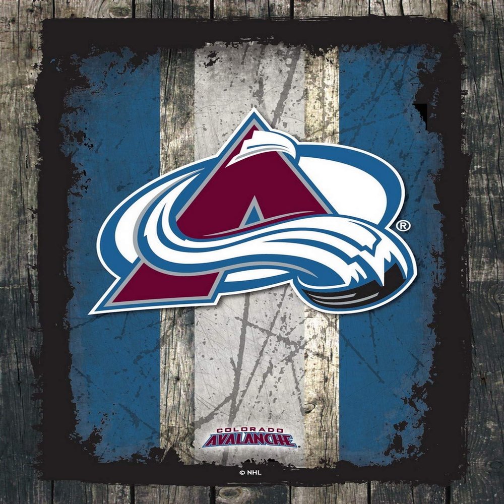 Colorado Avalanche 15" x 20" Officially Licensed Logo Canvas by the Holland Bar Stool Co.
