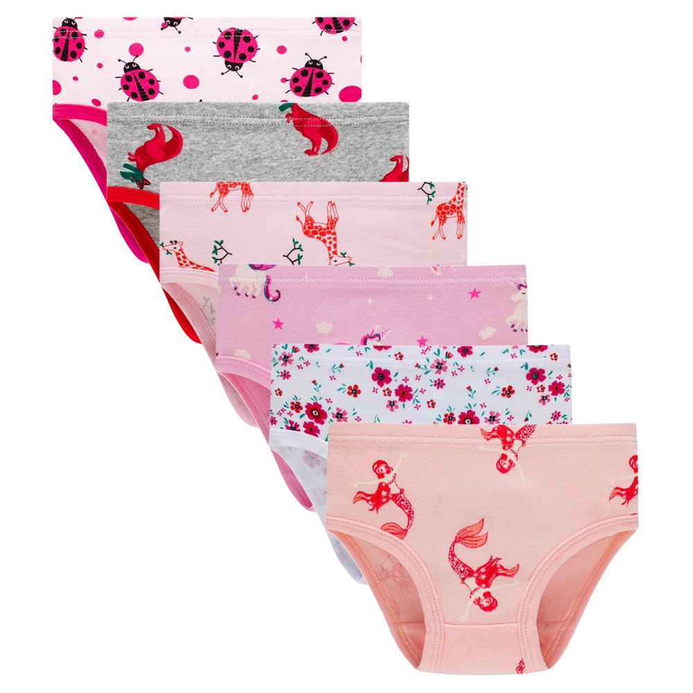 Winging Day Packs of 6 Big Girls Panties Underwear Assorted Styles Size 10