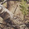 AUSCAMOTEK Camo Netting Camouflage Net for Turkey Blind Material Soft Quiet -Green 5x6.5Ft view 4