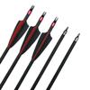 12 Pieces 30 Inch Carbon Arrow Archery Hunting Arrow Target Arrow Spine 400 Practice with 100 Grain Removable Field Point and Arrow Quiver Tube for Recuve Bow & Compound Bow (Arrow+Quiver) view 2