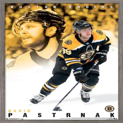 Trends International NHL Boston Bruins - David Pastrnk 19 Wall Poster, 22.375" x 34", Barnwood Framed Version